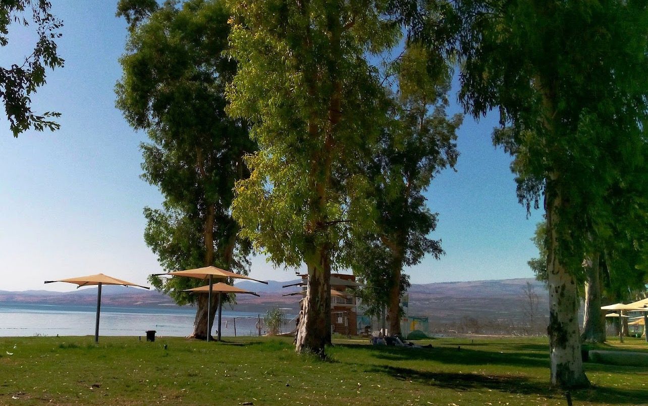 صورة شاطئ "دوجا" 2