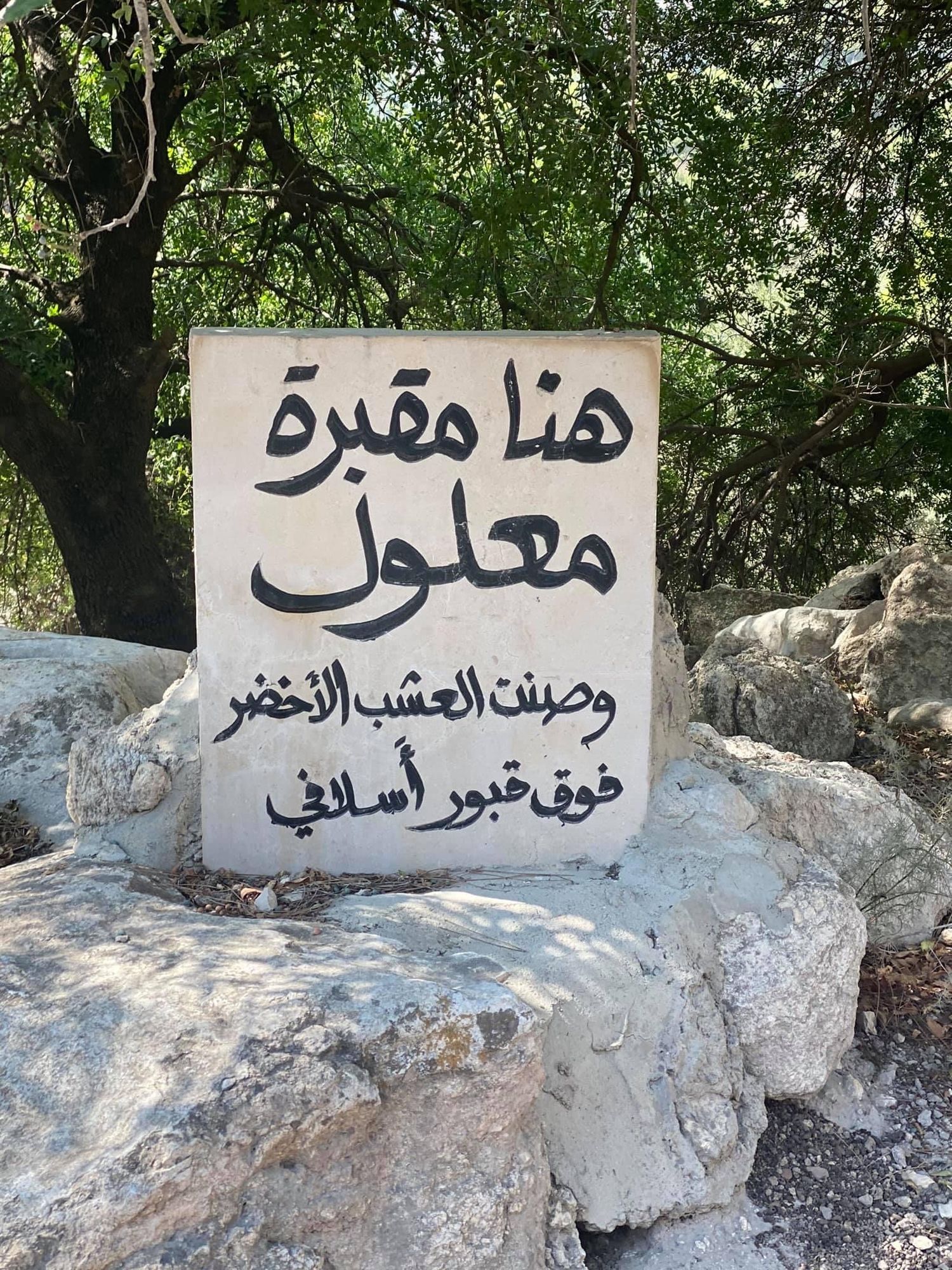 صورة قرية معلول المهجرة 3