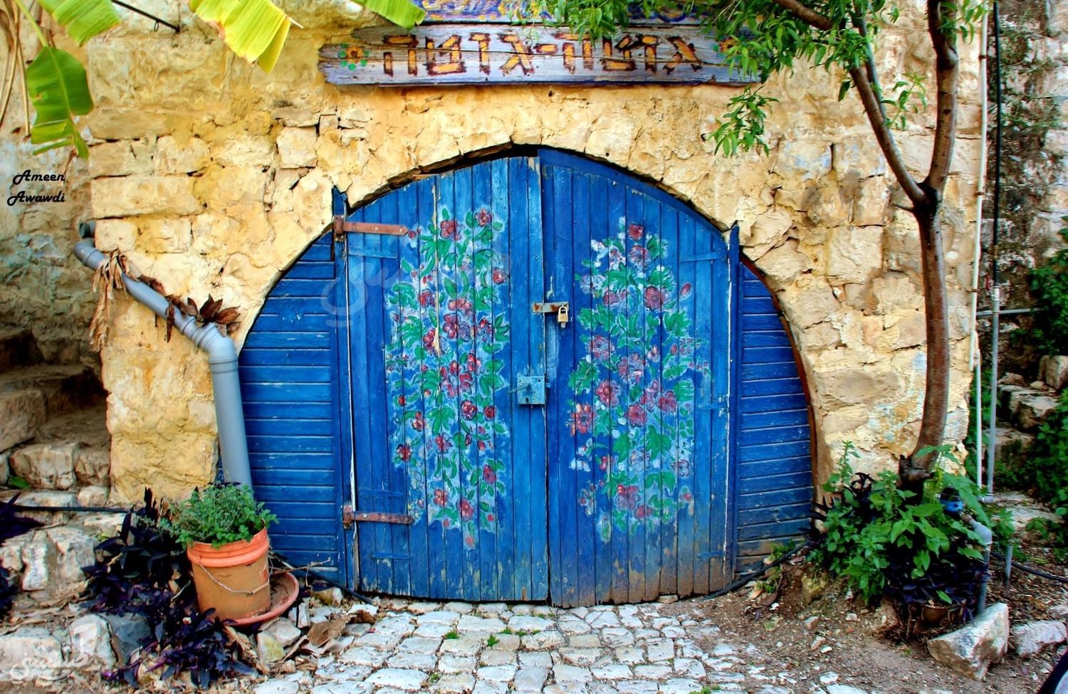 صورة قرية الجاعونة المهجرة 3