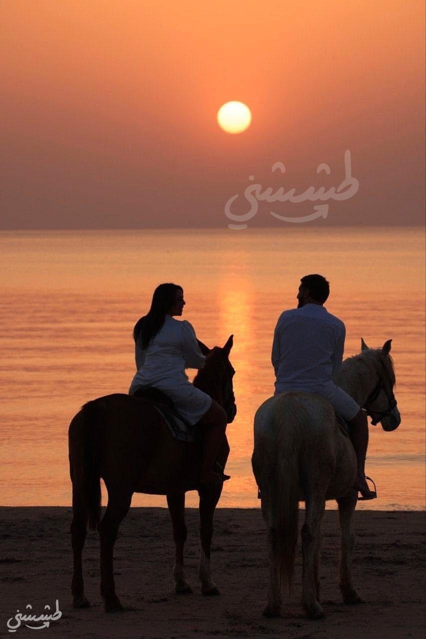 صورة مزرعة الخيل في الطنطورة 2