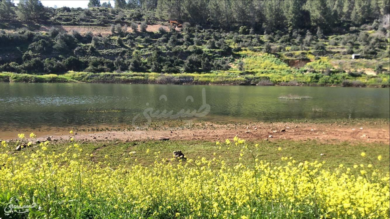 صورة سد وادي الصرار "بيت زايت"