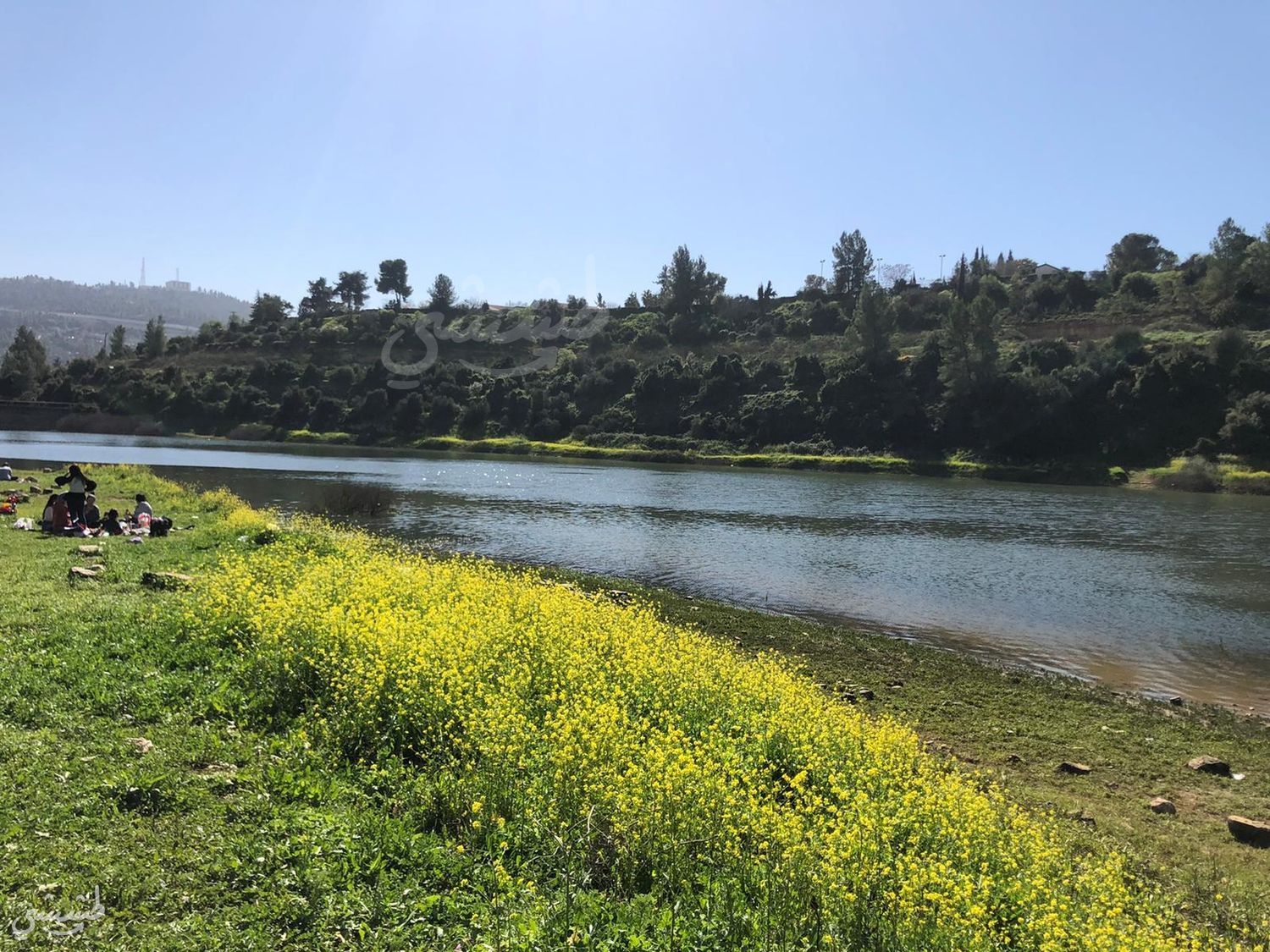 صورة سد وادي الصرار "بيت زايت" 1