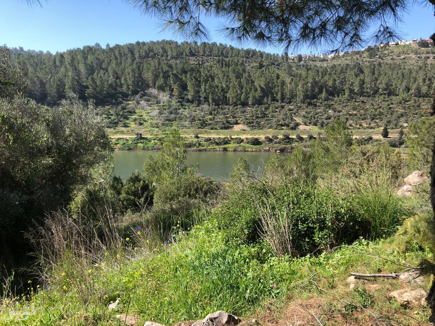 صورة سد وادي الصرار "بيت زايت" 3