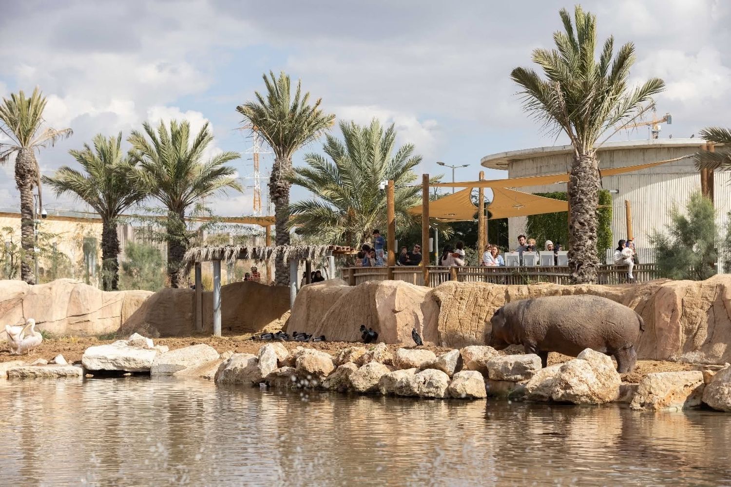 صورة حديقة الحيوانات مدباريوم 2