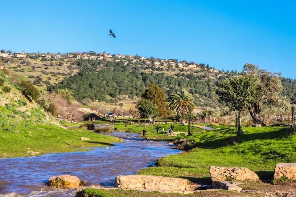 صورة طاحونة الراهب في راس علي