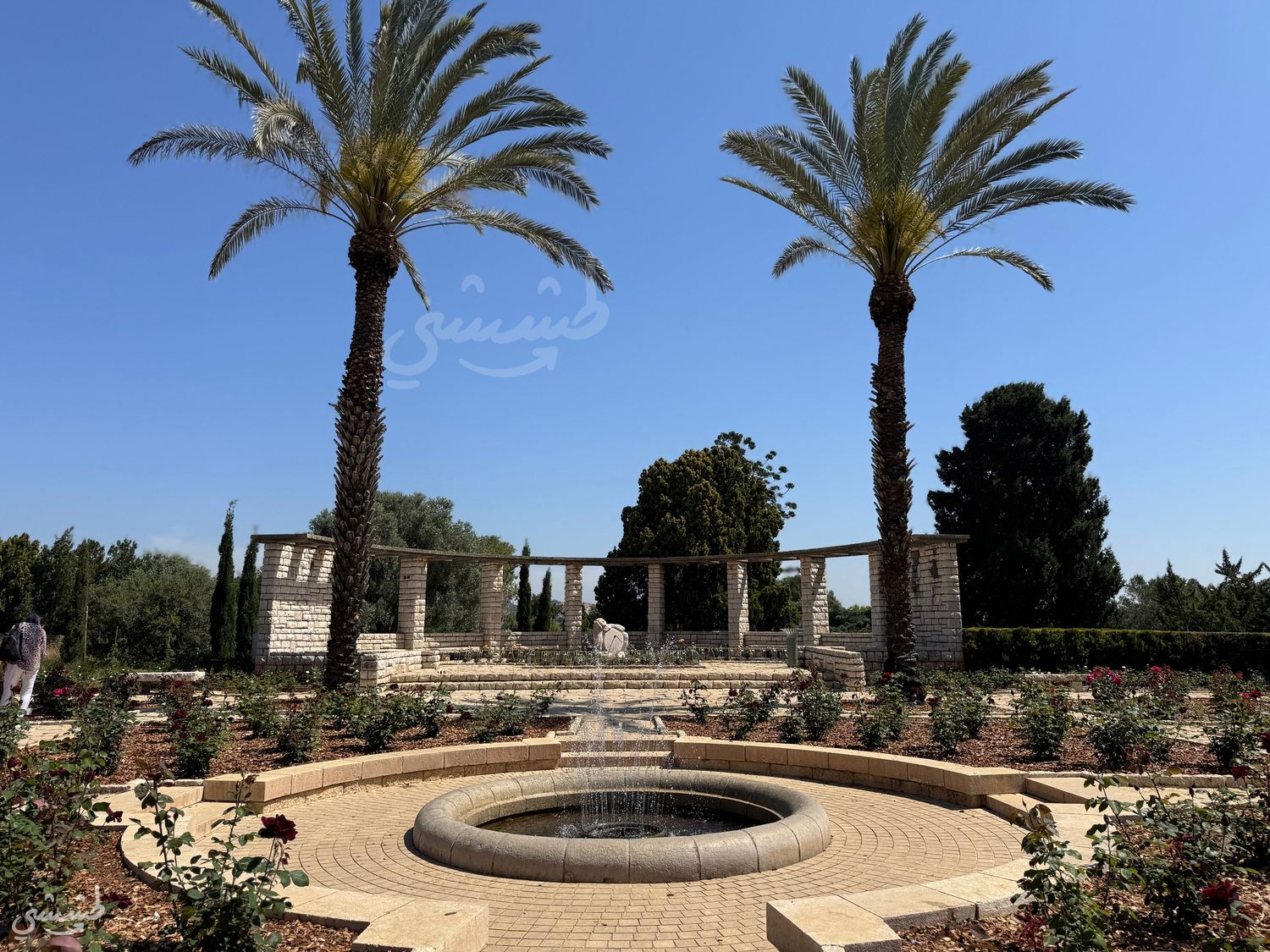 صورة حدائق البارون 3